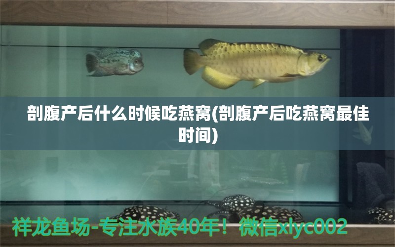 剖腹產(chǎn)后什么時候吃燕窩(剖腹產(chǎn)后吃燕窩最佳時間) 馬來西亞燕窩 第1張