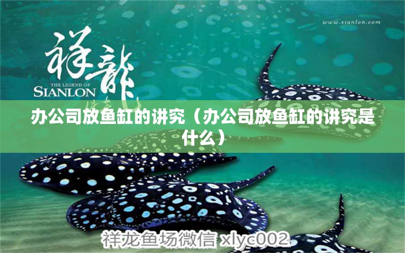 辦公司放魚缸的講究（辦公司放魚缸的講究是什么）