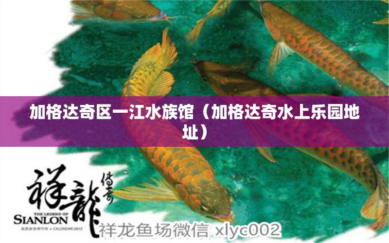 加格達(dá)奇區(qū)一江水族館（加格達(dá)奇水上樂園地址）