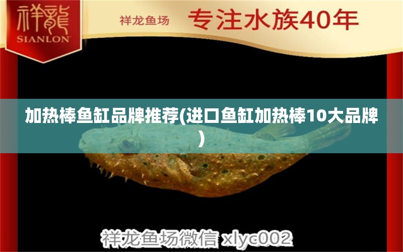 加熱棒魚缸品牌推薦(進口魚缸加熱棒10大品牌) 一眉道人魚苗 第1張