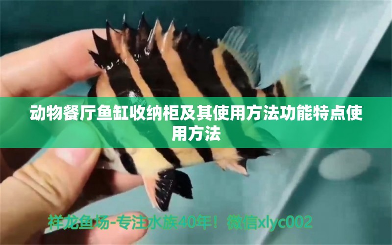 動(dòng)物餐廳魚缸收納柜及其使用方法功能特點(diǎn)使用方法 紅白錦鯉魚