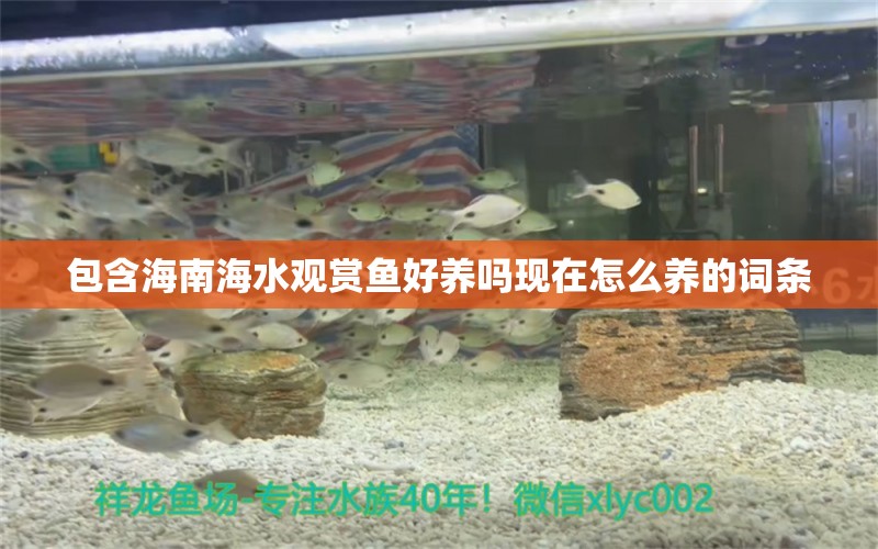 包含海南海水觀(guān)賞魚(yú)好養(yǎng)嗎現(xiàn)在怎么養(yǎng)的詞條 金三間魚(yú)