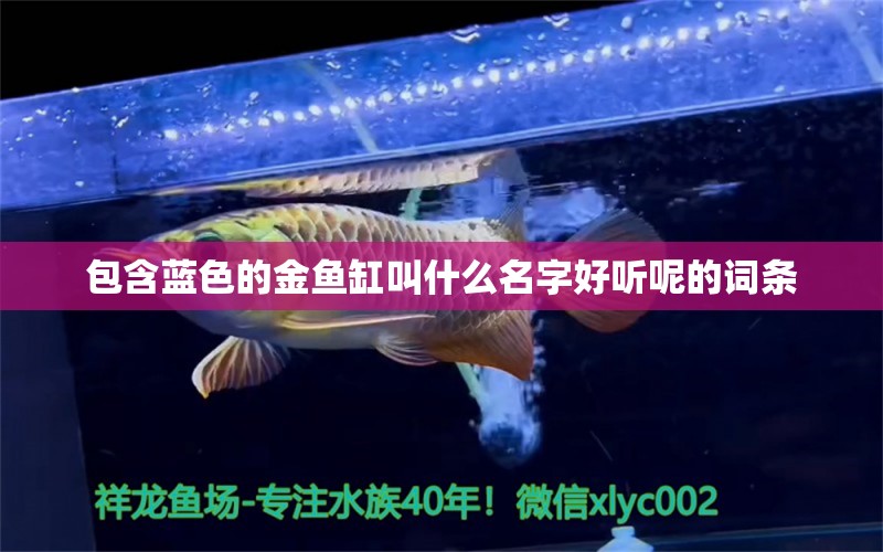 包含藍(lán)色的金魚(yú)缸叫什么名字好聽(tīng)呢的詞條 野彩魚(yú) 第1張