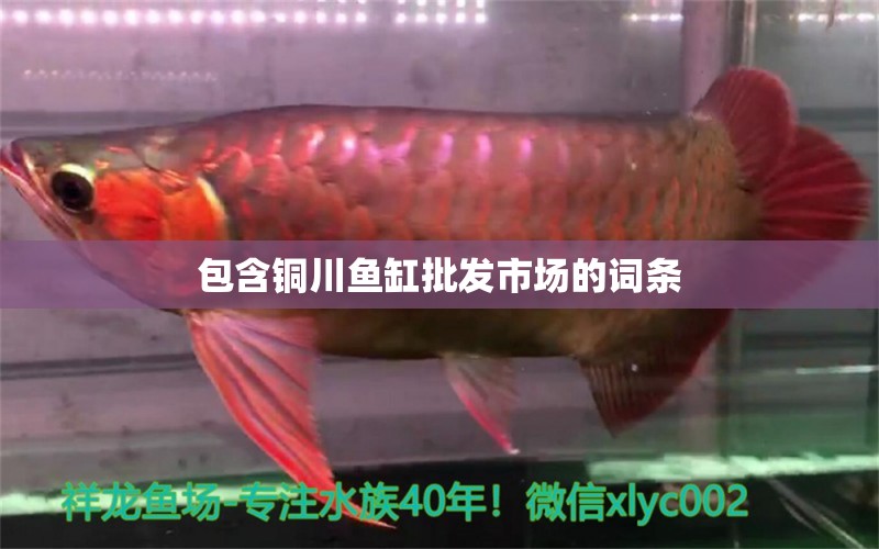 包含銅川魚缸批發(fā)市場(chǎng)的詞條