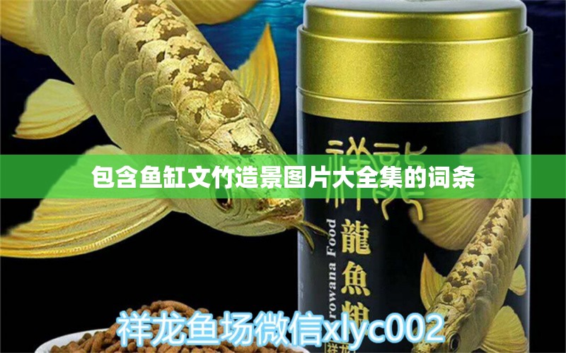 包含魚缸文竹造景圖片大全集的詞條 觀賞魚 第1張