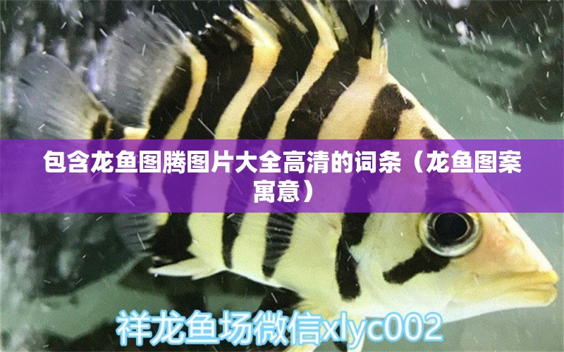 包含龍魚(yú)圖騰圖片大全高清的詞條（龍魚(yú)圖案寓意） 廣州龍魚(yú)批發(fā)市場(chǎng)