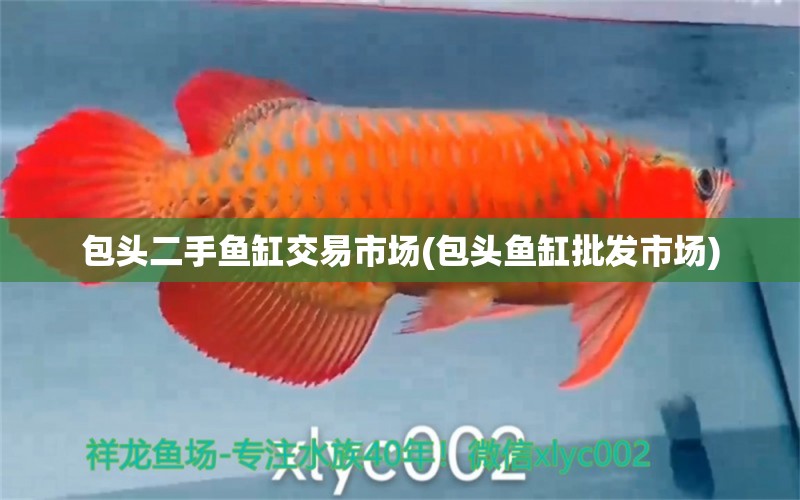 包頭二手魚缸交易市場(包頭魚缸批發(fā)市場) 觀賞魚飼料