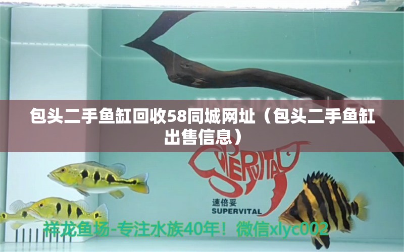 包頭二手魚缸回收58同城網(wǎng)址（包頭二手魚缸出售信息） 黑水素