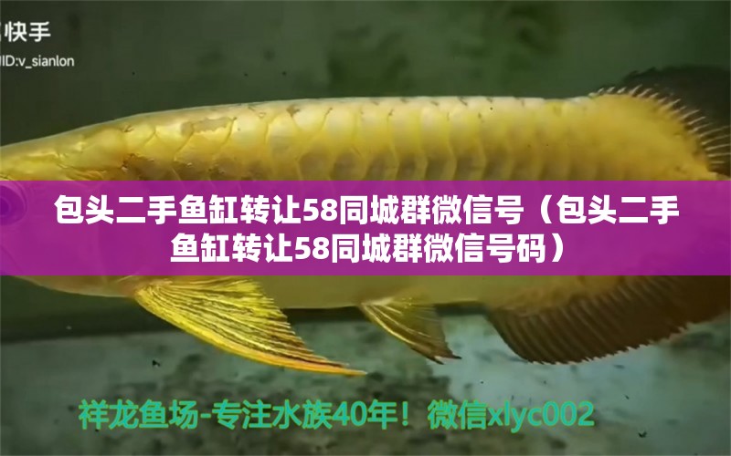 包頭二手魚缸轉(zhuǎn)讓58同城群微信號（包頭二手魚缸轉(zhuǎn)讓58同城群微信號碼）