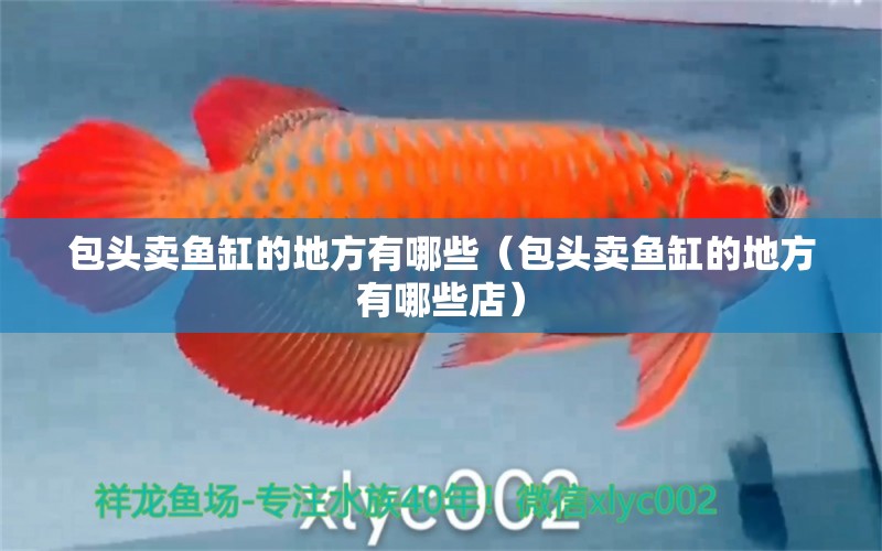 包頭賣(mài)魚(yú)缸的地方有哪些（包頭賣(mài)魚(yú)缸的地方有哪些店） 其他品牌魚(yú)缸