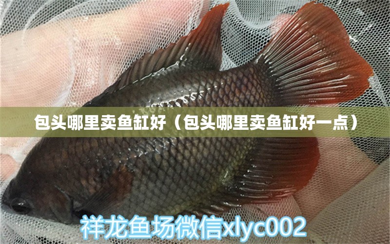 包頭哪里賣魚缸好（包頭哪里賣魚缸好一點）