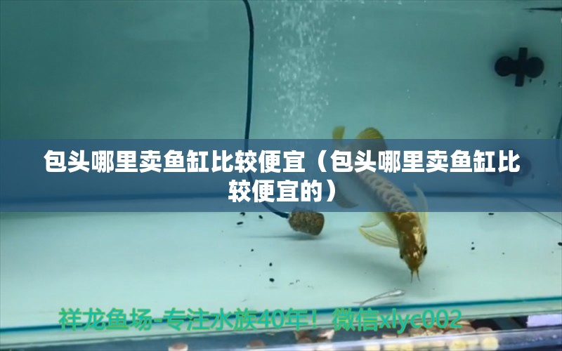 包頭哪里賣魚缸比較便宜（包頭哪里賣魚缸比較便宜的）