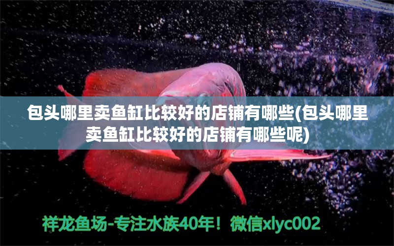 包頭哪里賣魚缸比較好的店鋪有哪些(包頭哪里賣魚缸比較好的店鋪有哪些呢) 紅魔王銀版魚