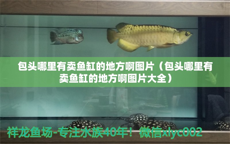 包頭哪里有賣魚缸的地方啊圖片（包頭哪里有賣魚缸的地方啊圖片大全）