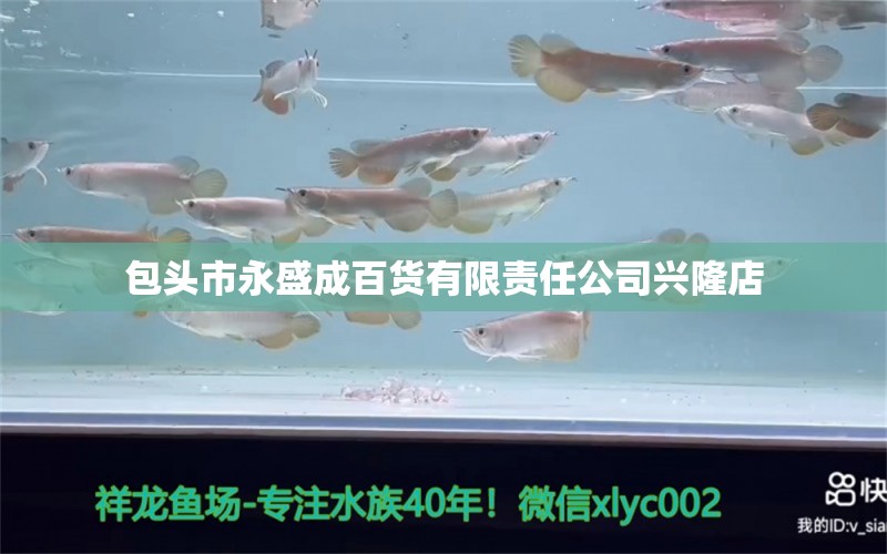 包頭市永盛成百貨有限責(zé)任公司興隆店 全國水族館企業(yè)名錄