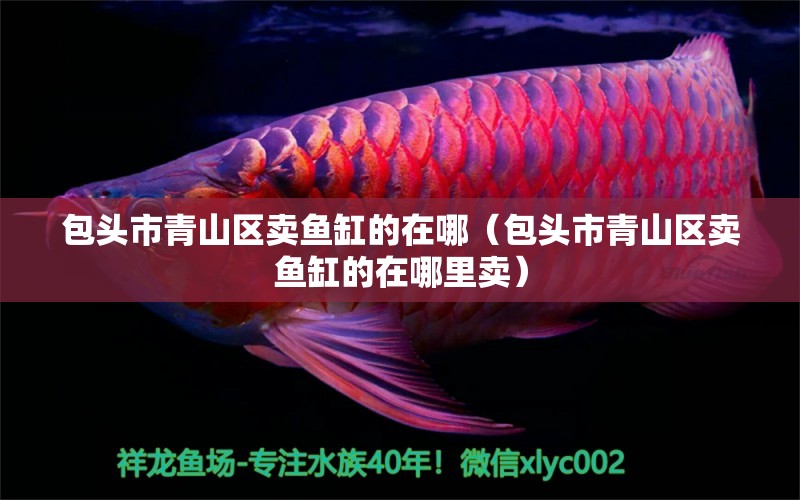 包頭市青山區(qū)賣魚缸的在哪（包頭市青山區(qū)賣魚缸的在哪里賣） 其他品牌魚缸