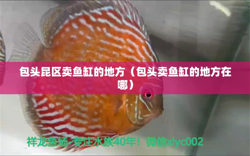 包頭昆區(qū)賣魚缸的地方（包頭賣魚缸的地方在哪）