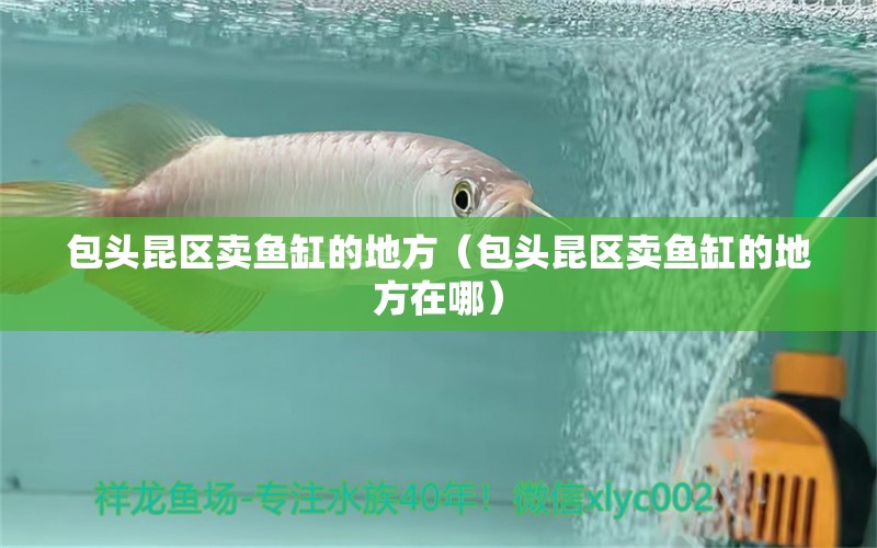 包頭昆區(qū)賣魚缸的地方（包頭昆區(qū)賣魚缸的地方在哪）