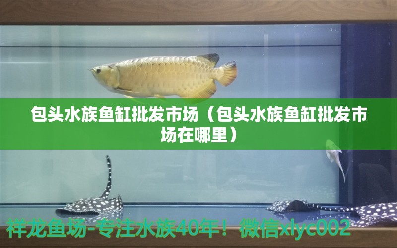 包頭水族魚缸批發(fā)市場（包頭水族魚缸批發(fā)市場在哪里）