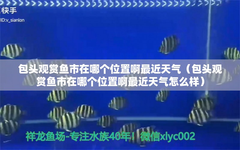 包頭觀賞魚(yú)市在哪個(gè)位置啊最近天氣（包頭觀賞魚(yú)市在哪個(gè)位置啊最近天氣怎么樣）