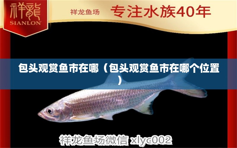 包頭觀賞魚(yú)市在哪（包頭觀賞魚(yú)市在哪個(gè)位置）