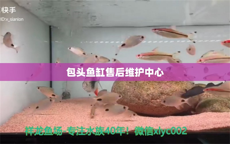 包頭魚缸售后維護(hù)中心