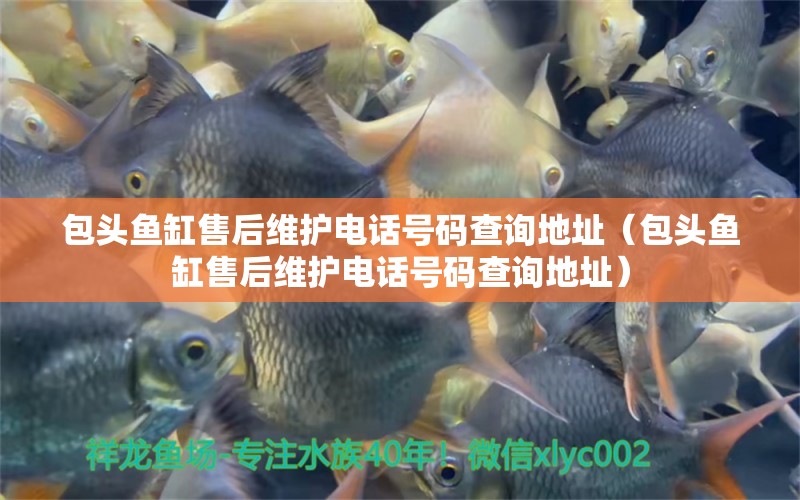 包頭魚缸售后維護電話號碼查詢地址（包頭魚缸售后維護電話號碼查詢地址） 其他品牌魚缸