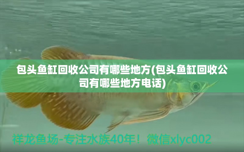 包頭魚缸回收公司有哪些地方(包頭魚缸回收公司有哪些地方電話) 紅勾銀版魚