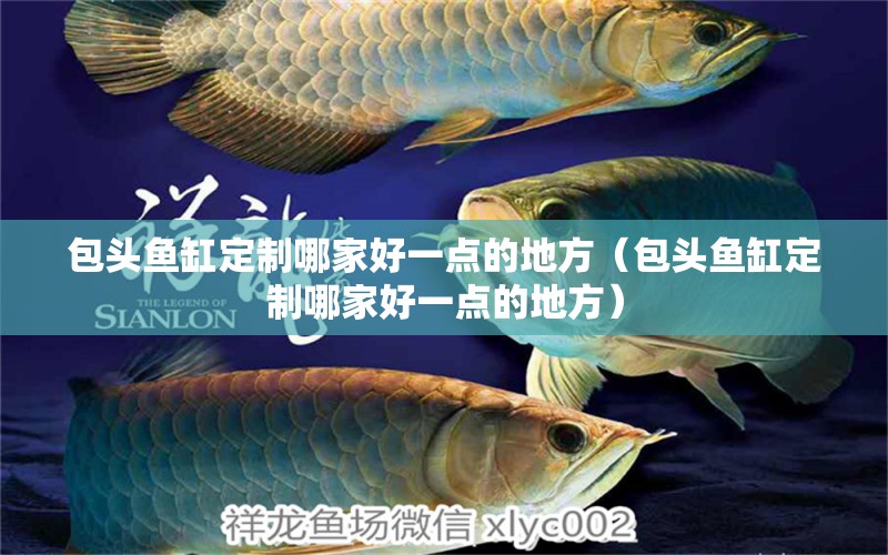 包頭魚(yú)缸定制哪家好一點(diǎn)的地方（包頭魚(yú)缸定制哪家好一點(diǎn)的地方） 祥龍水族醫(yī)院