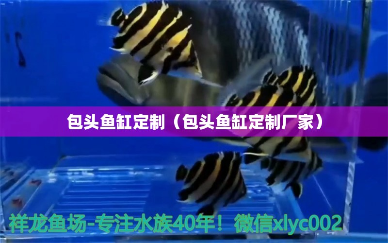 包頭魚缸定制（包頭魚缸定制廠家） 白子球鯊魚