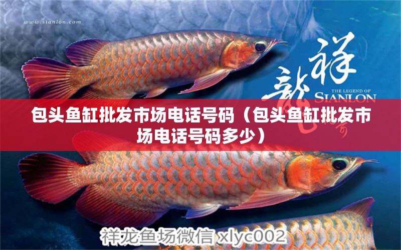 包頭魚缸批發(fā)市場電話號碼（包頭魚缸批發(fā)市場電話號碼多少）