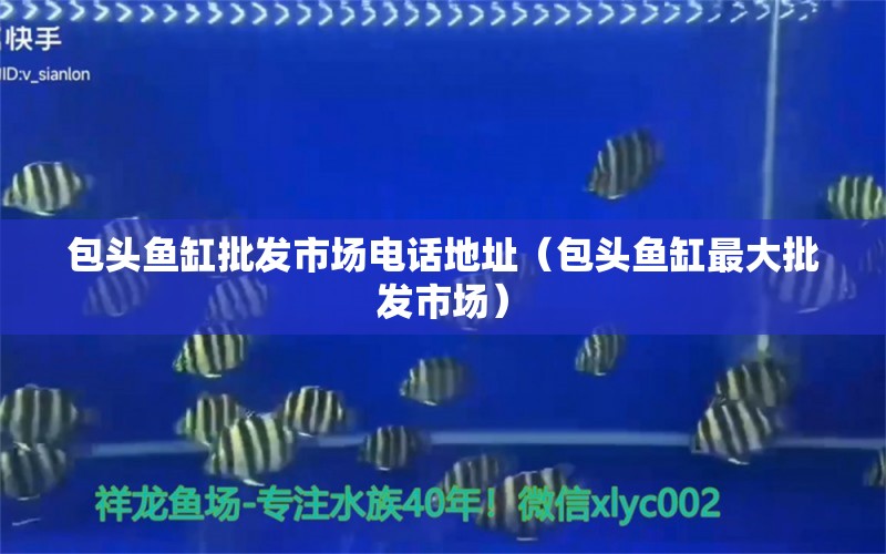 包頭魚缸批發(fā)市場電話地址（包頭魚缸最大批發(fā)市場）