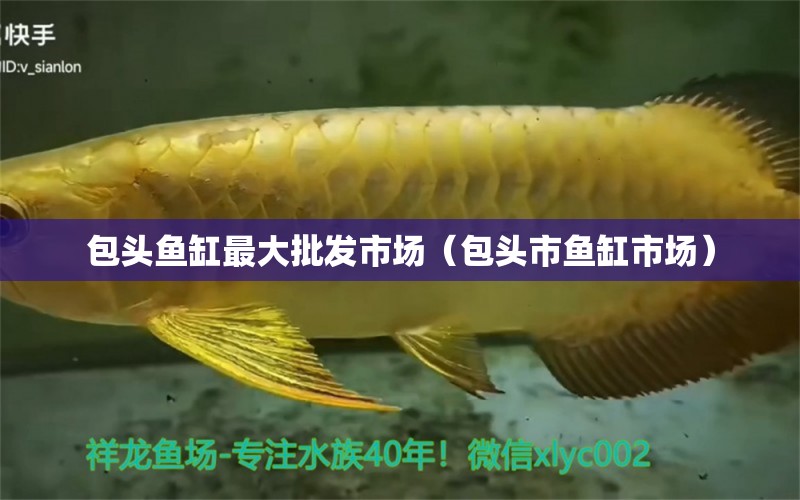 包頭魚缸最大批發(fā)市場(chǎng)（包頭市魚缸市場(chǎng)）