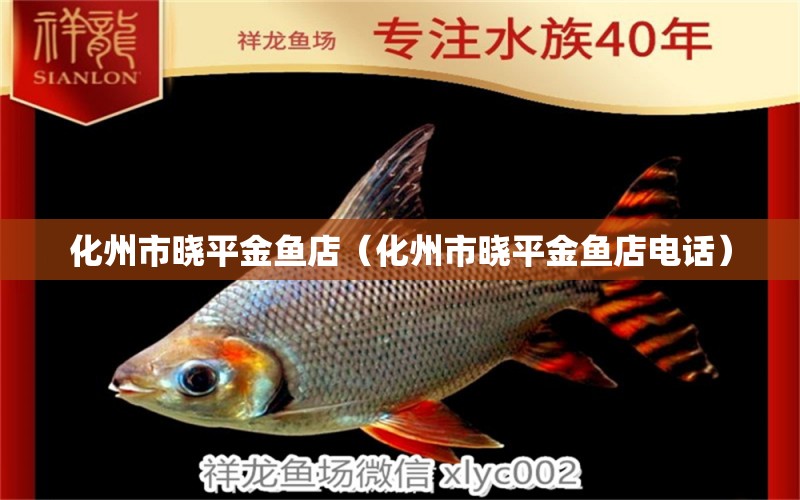 化州市曉平金魚店（化州市曉平金魚店電話） 全國水族館企業(yè)名錄