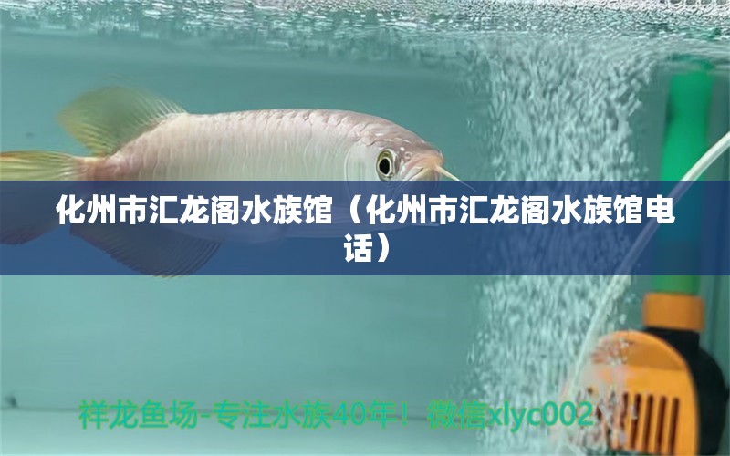 化州市匯龍閣水族館（化州市匯龍閣水族館電話）