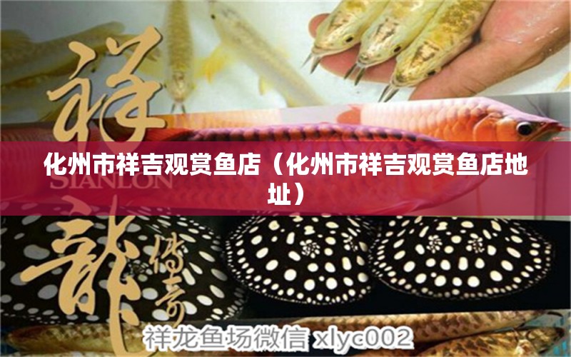 化州市祥吉觀賞魚(yú)店（化州市祥吉觀賞魚(yú)店地址） 全國(guó)水族館企業(yè)名錄