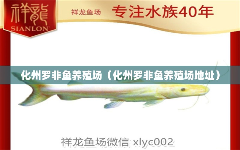 化州羅非魚養(yǎng)殖場（化州羅非魚養(yǎng)殖場地址）