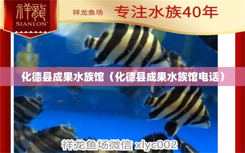 化德縣成果水族館（化德縣成果水族館電話） 全國水族館企業(yè)名錄