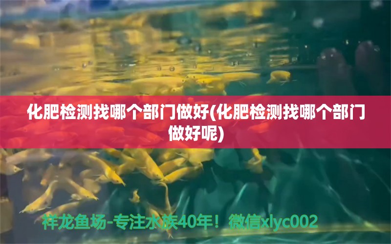 化肥檢測找哪個部門做好(化肥檢測找哪個部門做好呢) 銀河星鉆魚