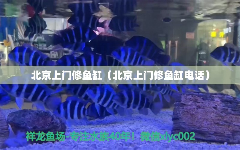 北京上門修魚缸（北京上門修魚缸電話）