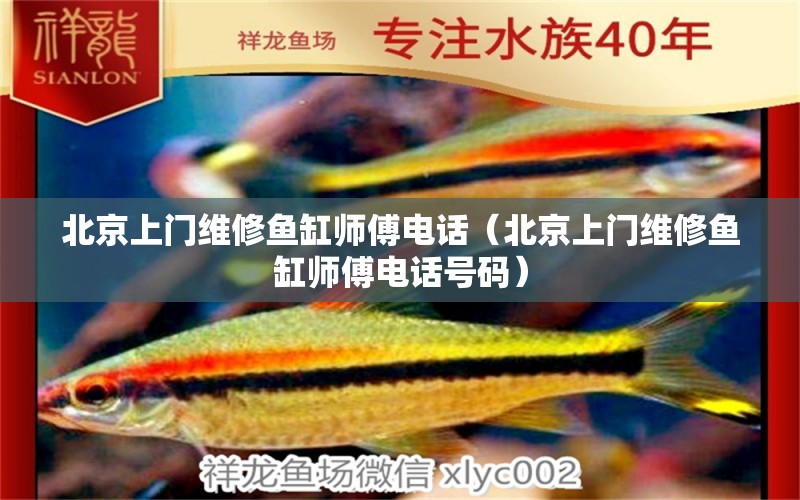 北京上門維修魚缸師傅電話（北京上門維修魚缸師傅電話號碼） 紅頭利魚