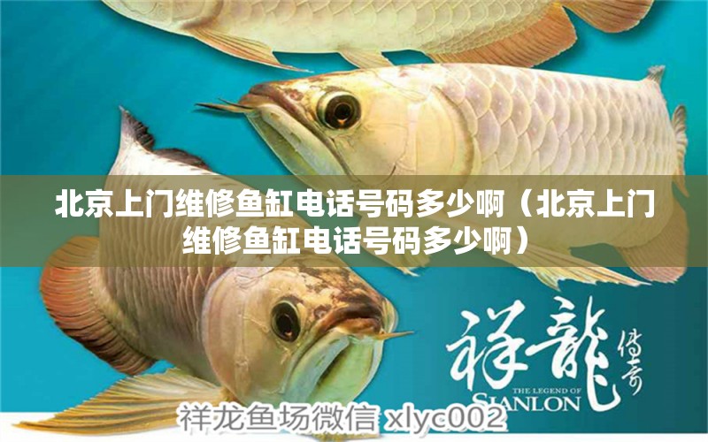 北京上門維修魚缸電話號(hào)碼多少?。ū本┥祥T維修魚缸電話號(hào)碼多少?。? title=