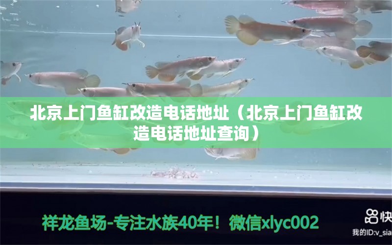 北京上門魚缸改造電話地址（北京上門魚缸改造電話地址查詢）