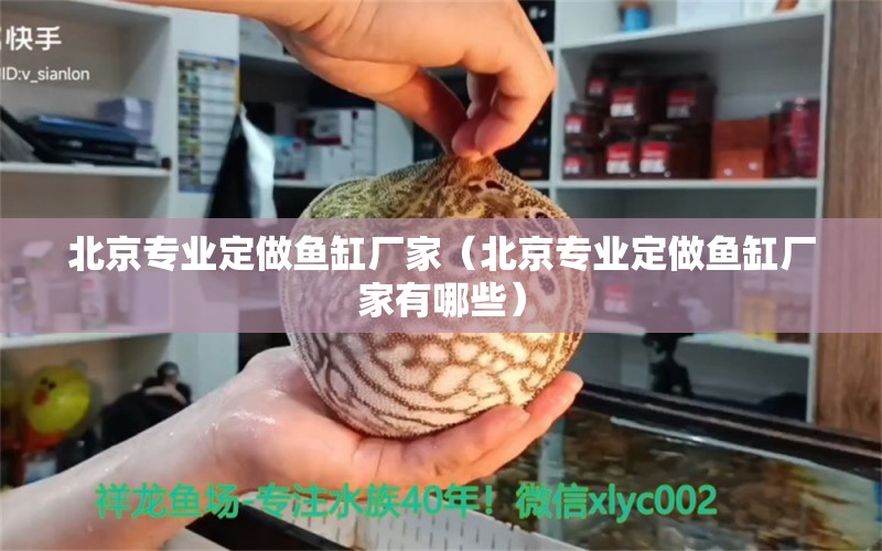 北京專業(yè)定做魚缸廠家（北京專業(yè)定做魚缸廠家有哪些）