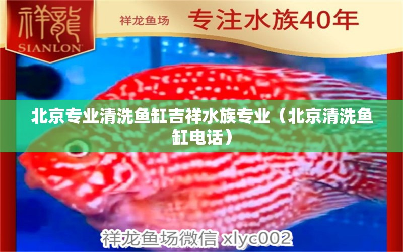 北京專業(yè)清洗魚缸吉祥水族專業(yè)（北京清洗魚缸電話）