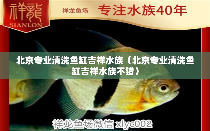 北京專業(yè)清洗魚缸吉祥水族（北京專業(yè)清洗魚缸吉祥水族不錯(cuò)）