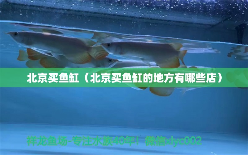 北京買魚缸（北京買魚缸的地方有哪些店）