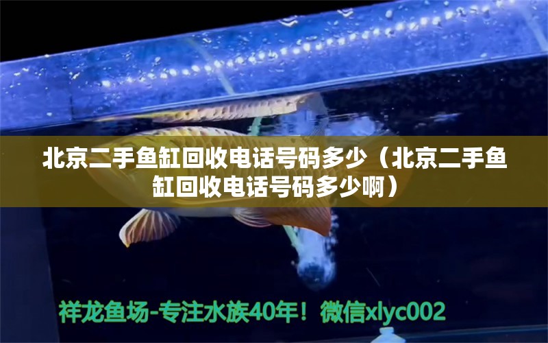 北京二手魚缸回收電話號碼多少（北京二手魚缸回收電話號碼多少?。? title=