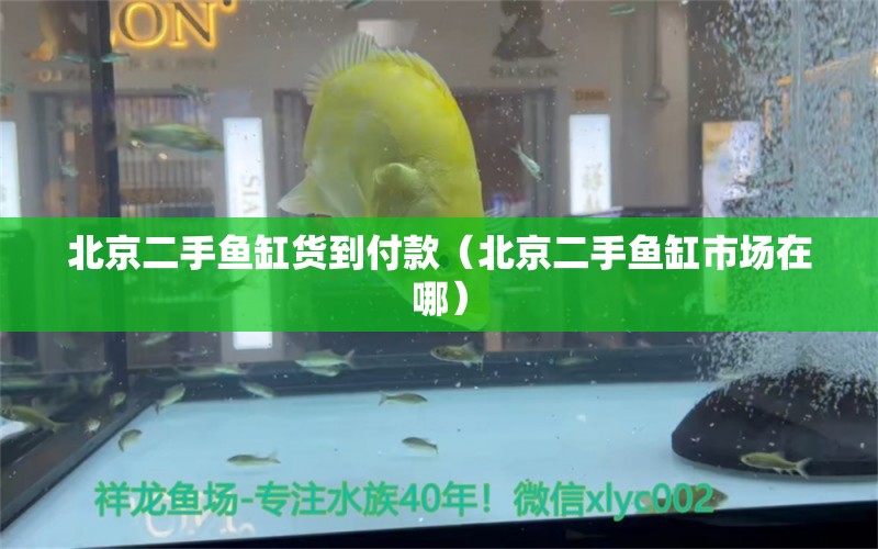 北京二手魚缸貨到付款（北京二手魚缸市場在哪）