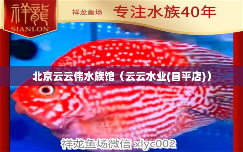 北京云云偉水族館（云云水業(yè)(昌平店)）